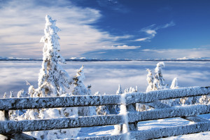 Capturing The Perfect WInter PHotos