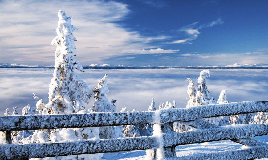 Capturing The Perfect WInter PHotos