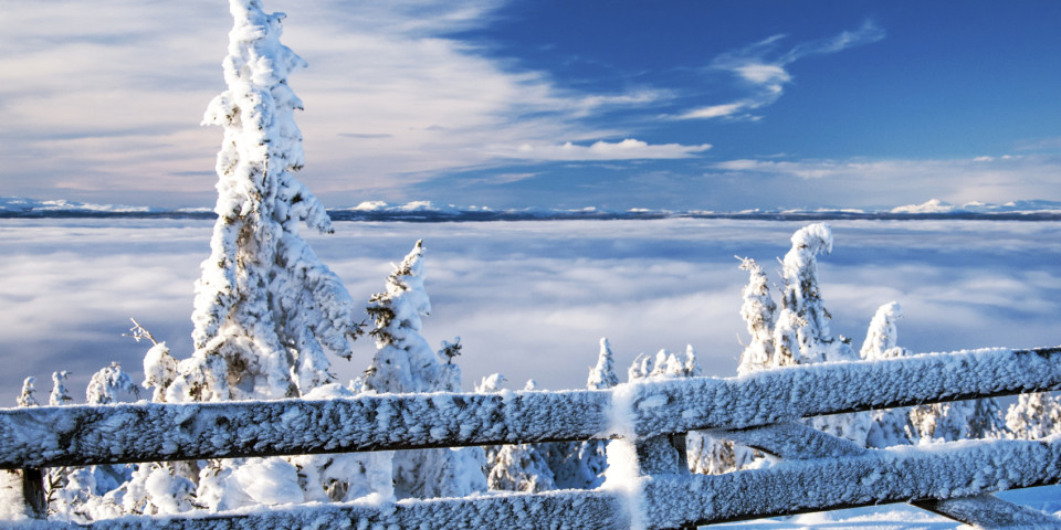 Capturing The Perfect WInter PHotos