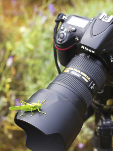 The Most Important Lens Accessory That You Probably Aren’t Using