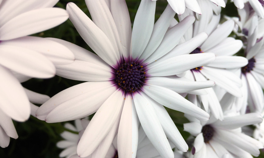 What is White Balance?