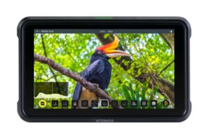 Atomos Shinobi 5" Monitor