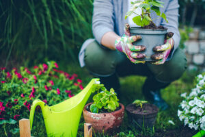 Lady holding plant in a pot in an outdoor garden