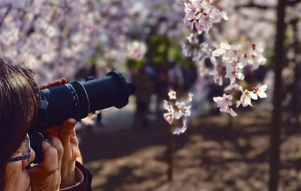 Photographer using macro lens to photograph flower