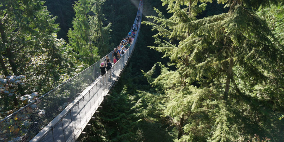 Capilano Suspension Bridge