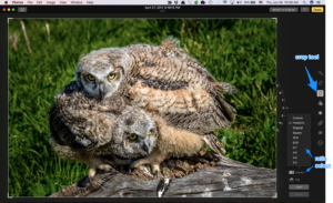 Use of the crop tool and the ability to select an aspect ratio.