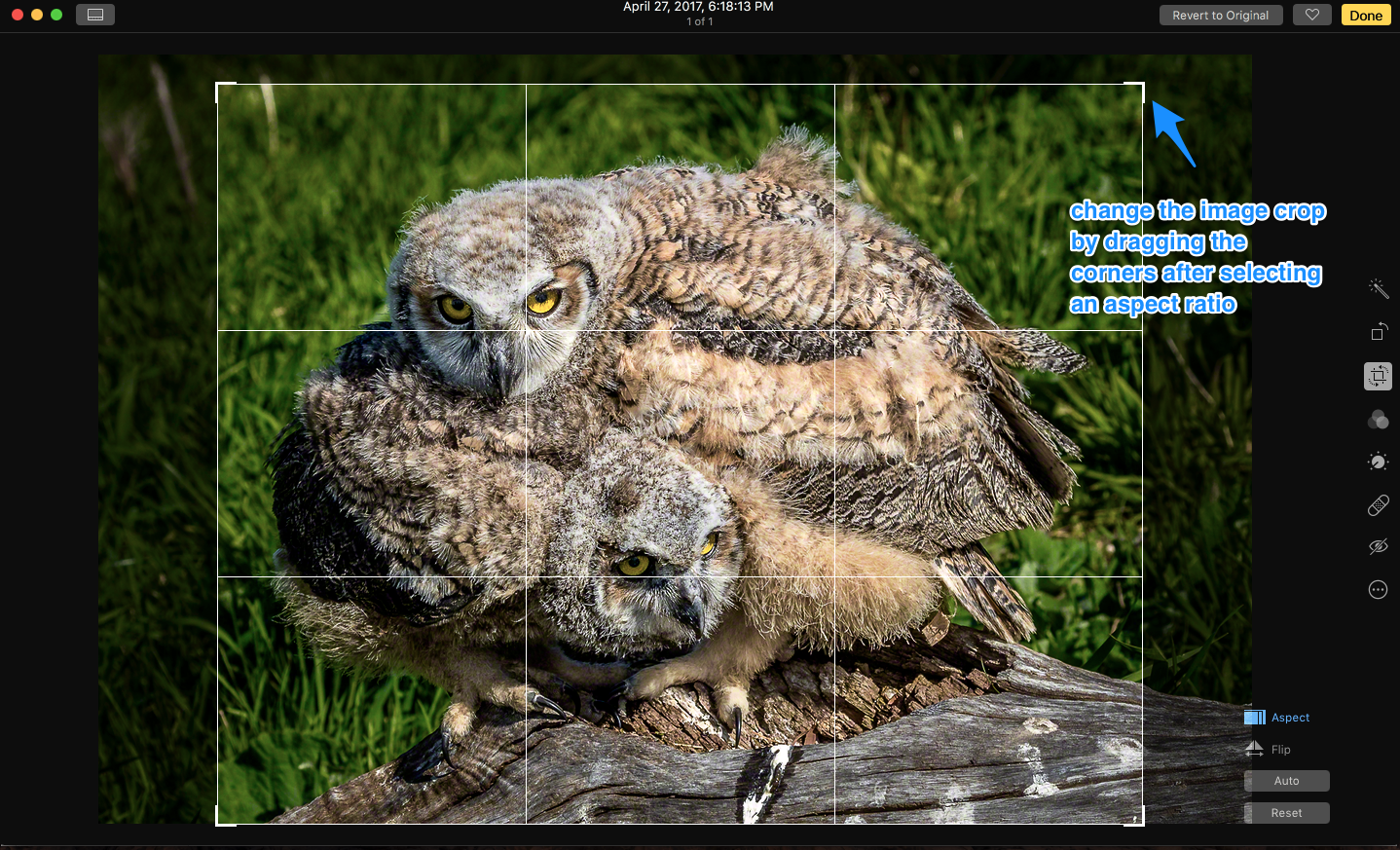 Using the ability to drag the corners after selecting the aspect ratio to allow for a custom crop while retaining the 8x10 aspect ratio that I will need for my print.