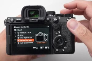 Customized Rear Buttons