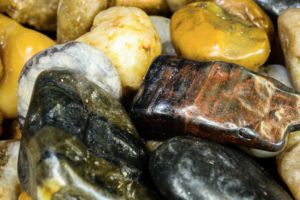 Using the Canon EF-M 28mm with Macro Lite Active in Super Macro Mode