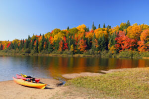 Autumn Lake