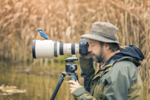 Bird sitting on photographers camera