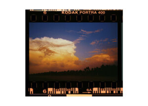 Kodak Portra 400 Film