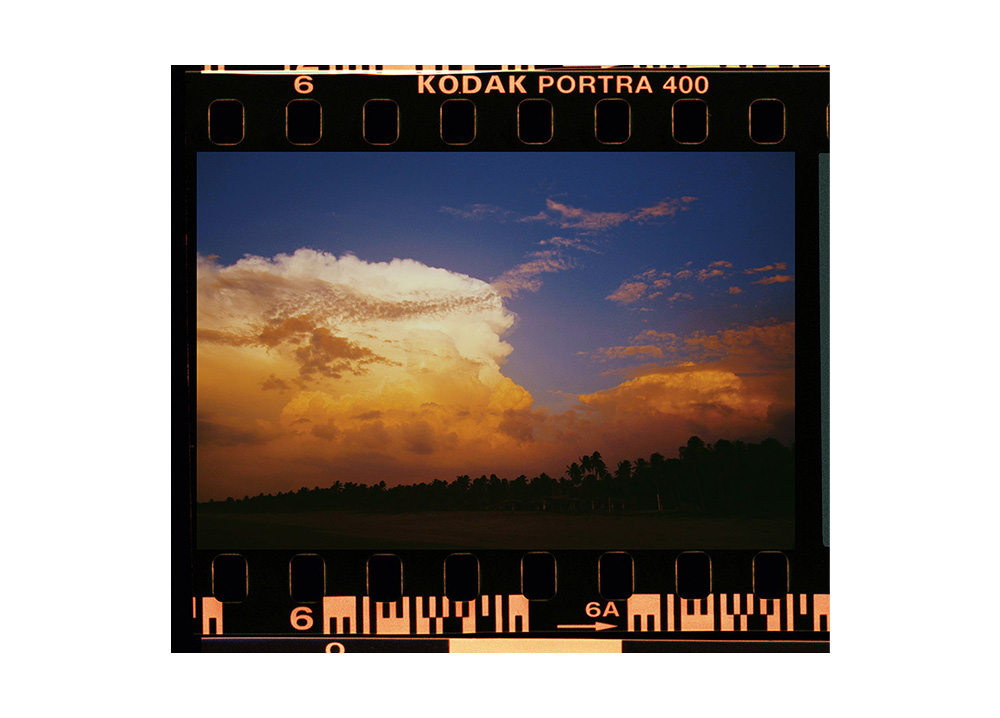 Kodak Portra 400 Film