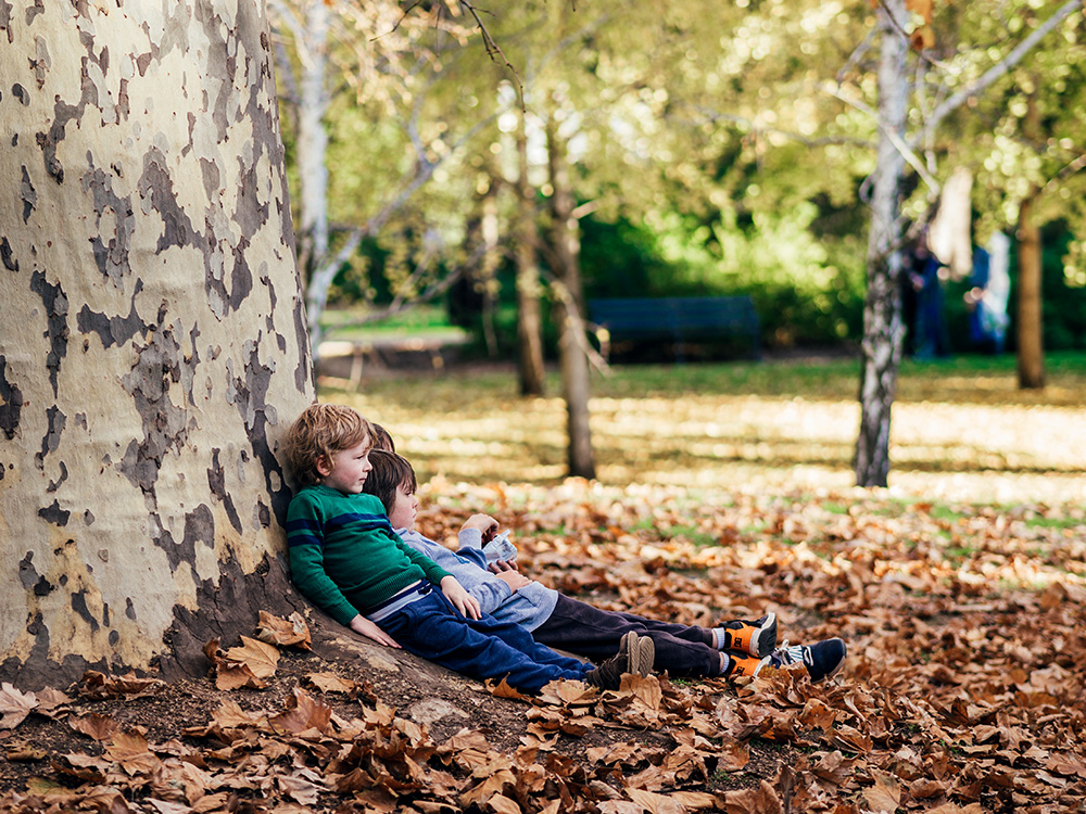 Kids sitting on leaves under a tree