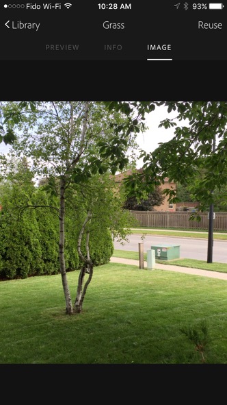 Photo of a front lawn with an iPhone