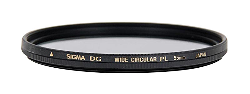 Kids playing with leaves