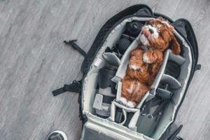 Spring Bag Essentials Feature Image