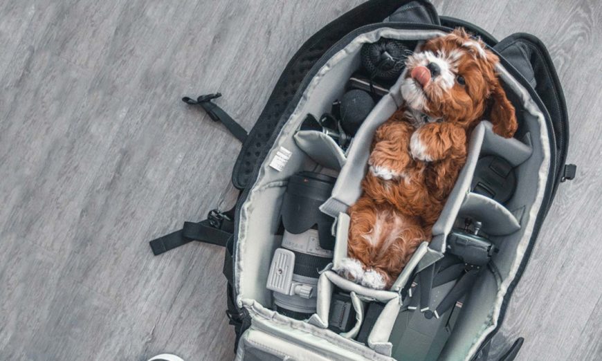 Spring Bag Essentials Feature Image