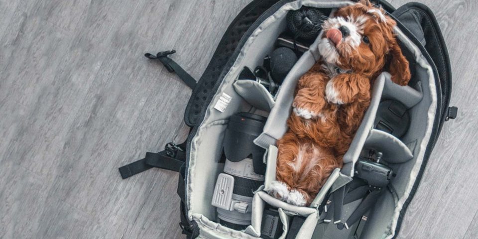 Spring Bag Essentials Feature Image