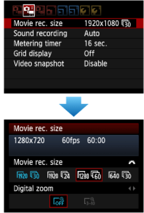 Video Basics: Video Menu Options (Canon Example)
