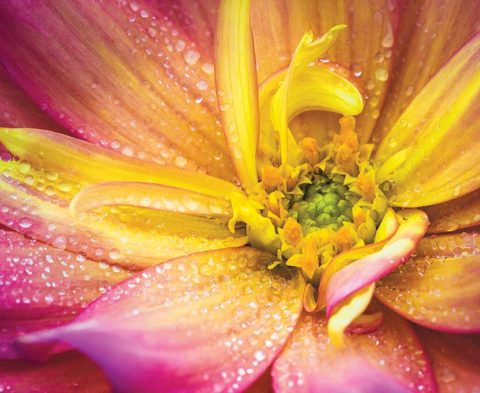 example bokeh photography