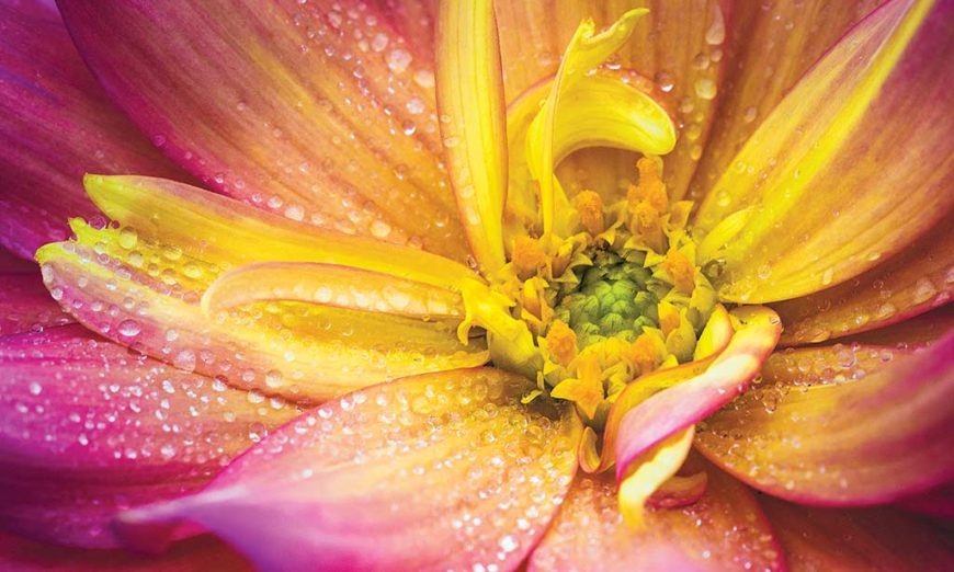 example bokeh photography