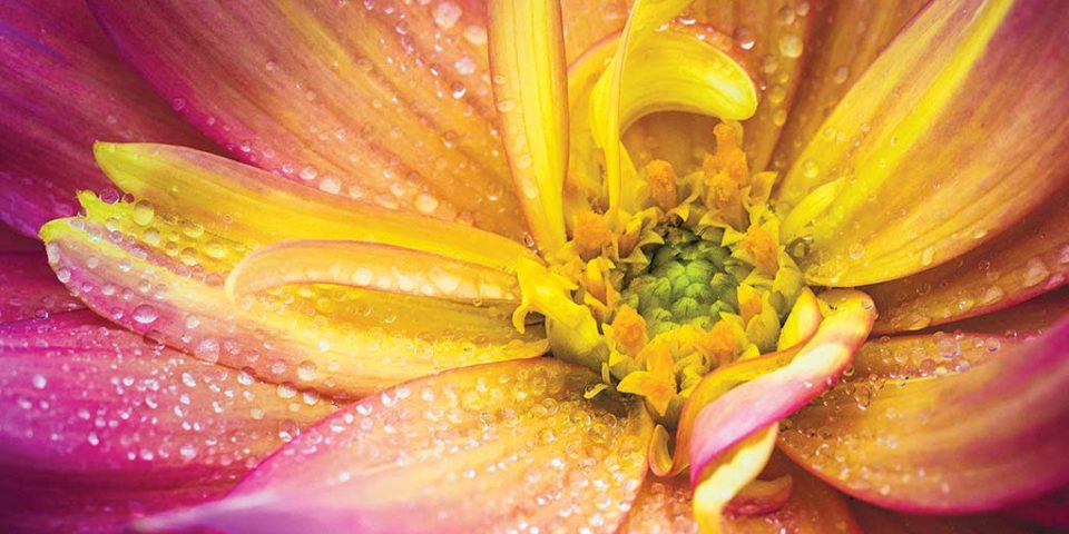 example bokeh photography