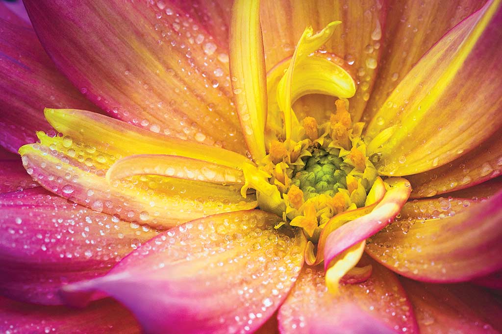 example bokeh photography