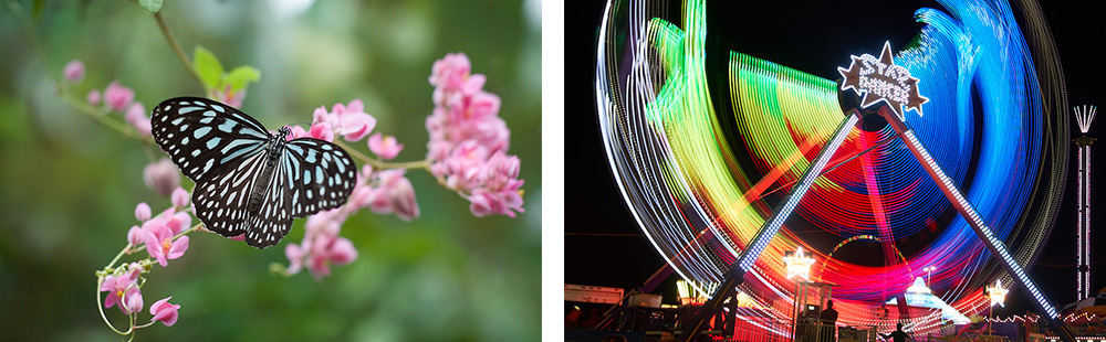 Depth of Field and Shutter Speed