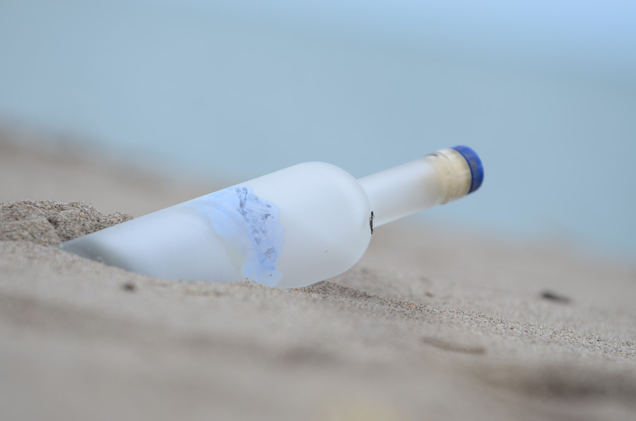 Craig Sellars - Bottle