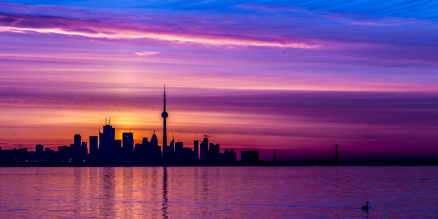 Greg David - Painted Skies