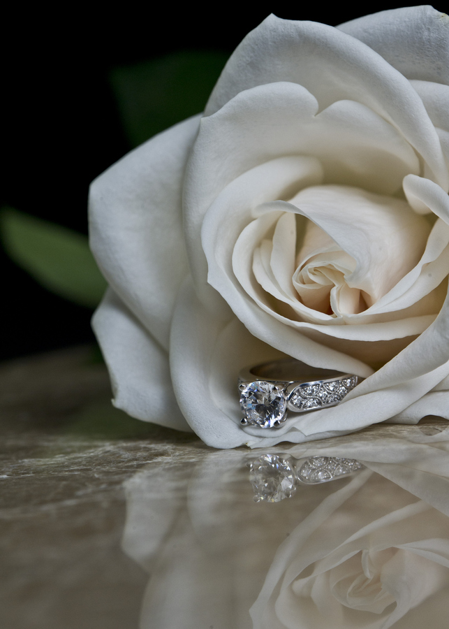 Rebecca Nash - Ring1