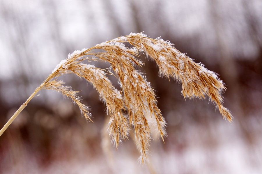 Robert Alemany - Untitled