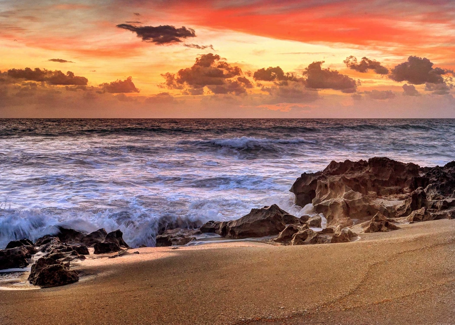 Sherry Galey - Untitled