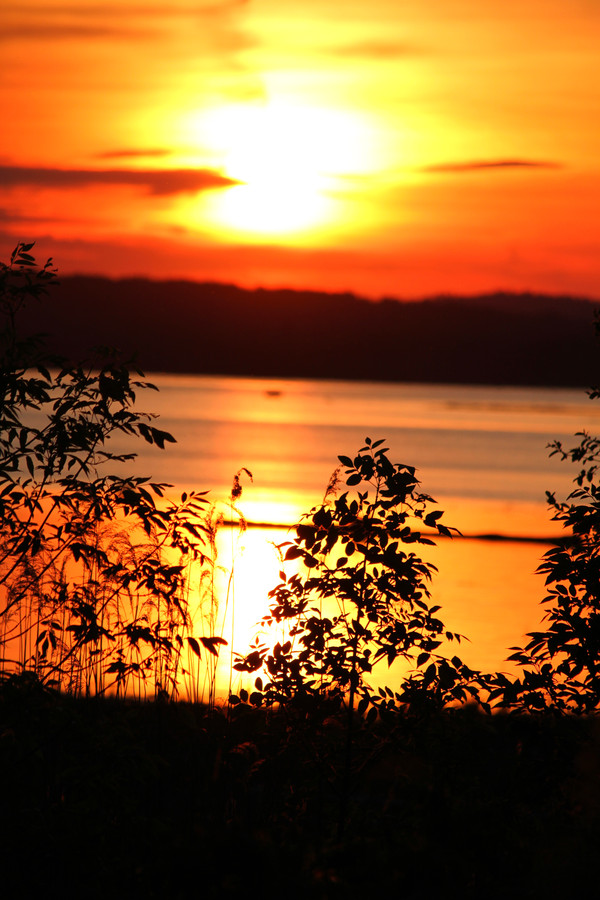 Becky Zappacosta - Lake George Sunset