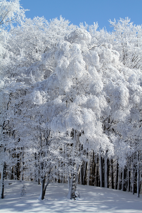 Kimberly Merrifield - After the Storm