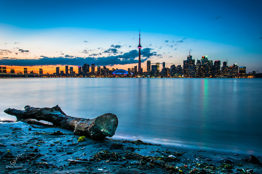 Lena Dawood - City of Lights