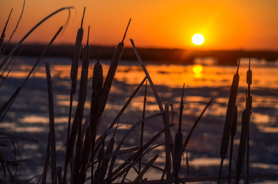 dpahkala2 - Morning Beauty