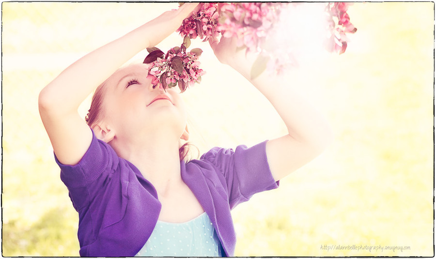 Natalie King - Spring Bloom