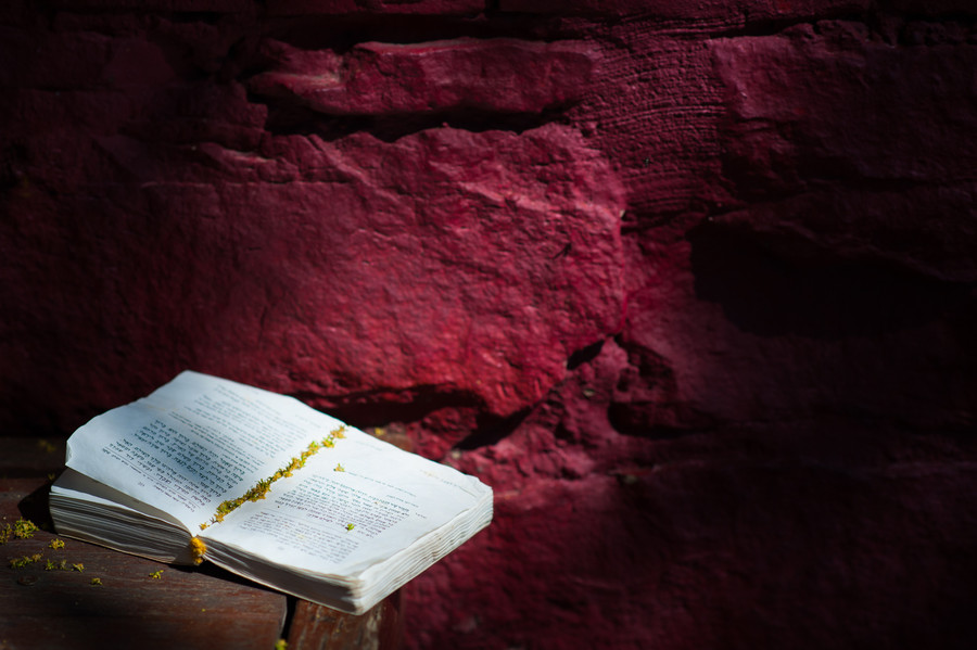 Open Book - Mark Shannon