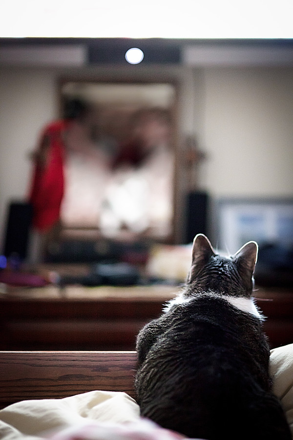 Watching TV - Wendy Teal