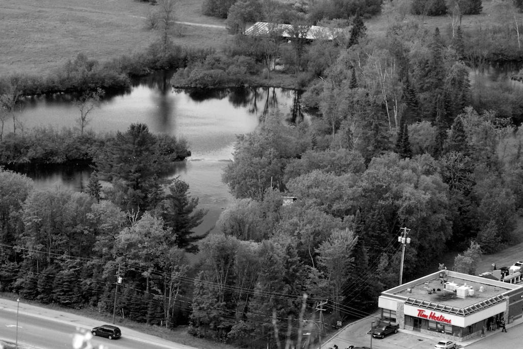 Little Tim's by Rhonda Shier