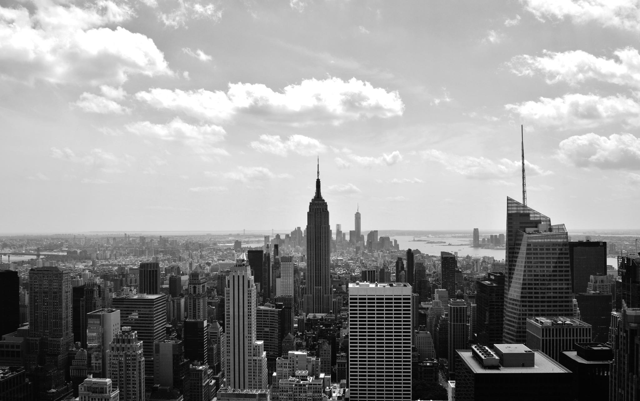 Untitled by Alia Syed