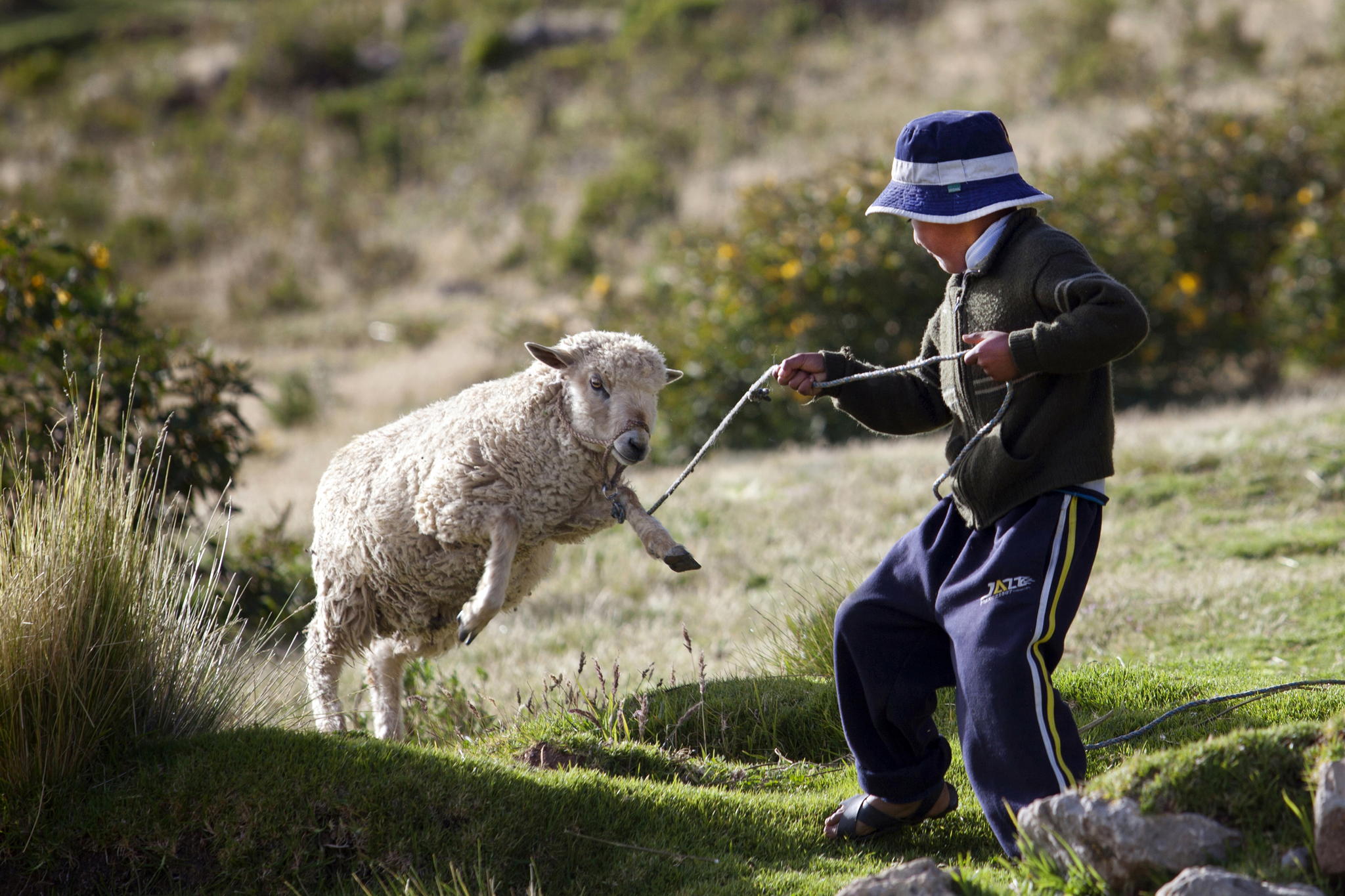 The Challenge by Paul Heyman
