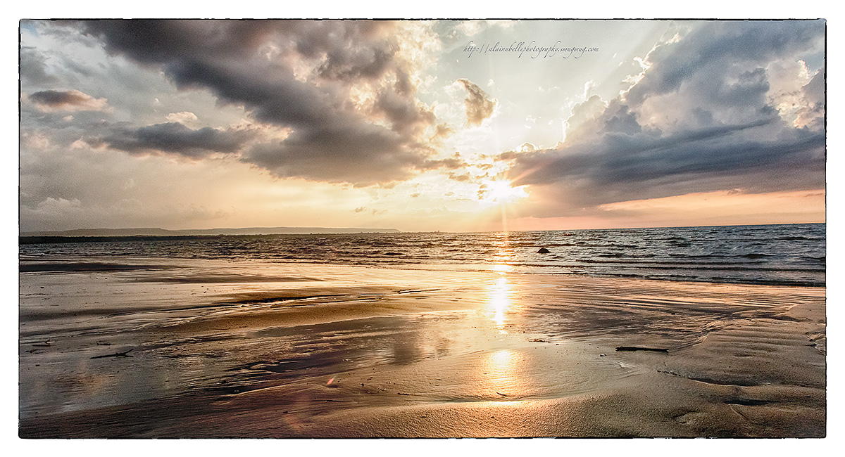 Summer Sunset by Natalie King