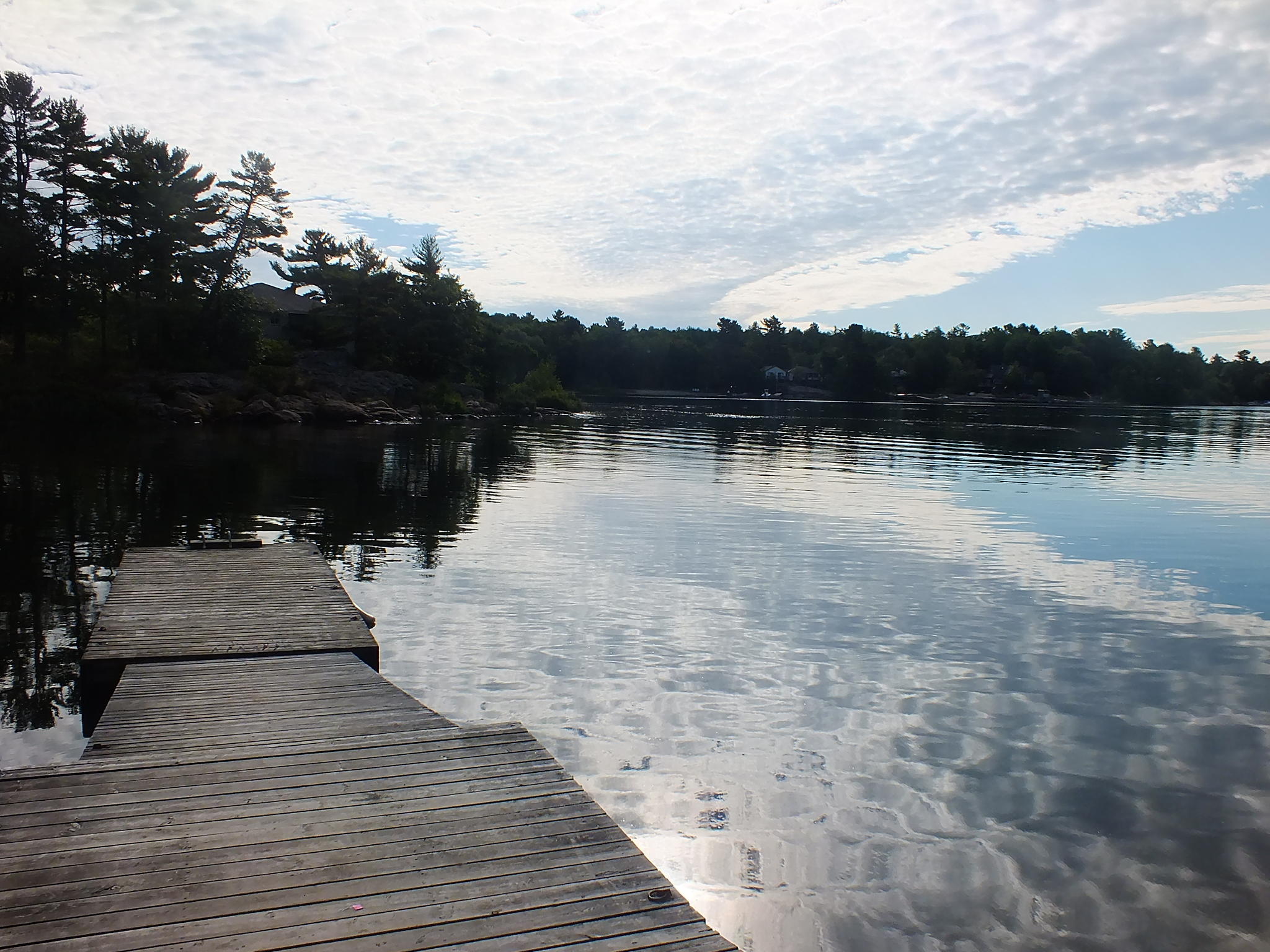 Dive In! by Leah Kellestine