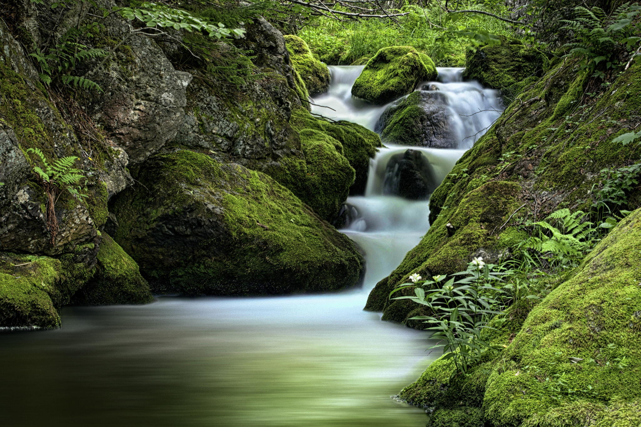 Emerald Jewel by Paul Heyman