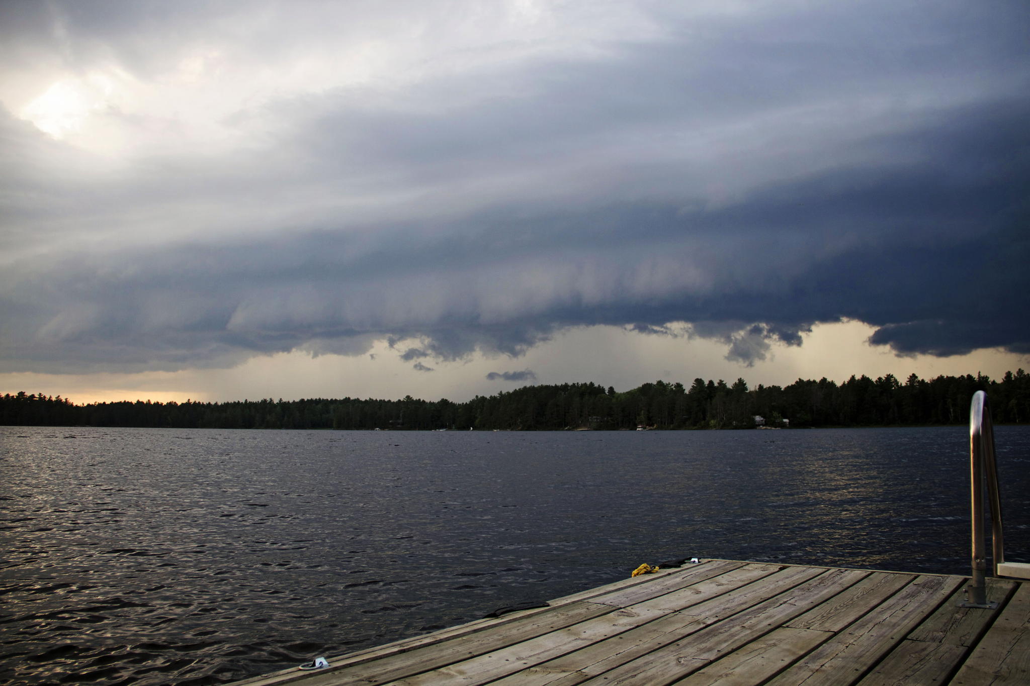 Untitled by Shanon Oikawa