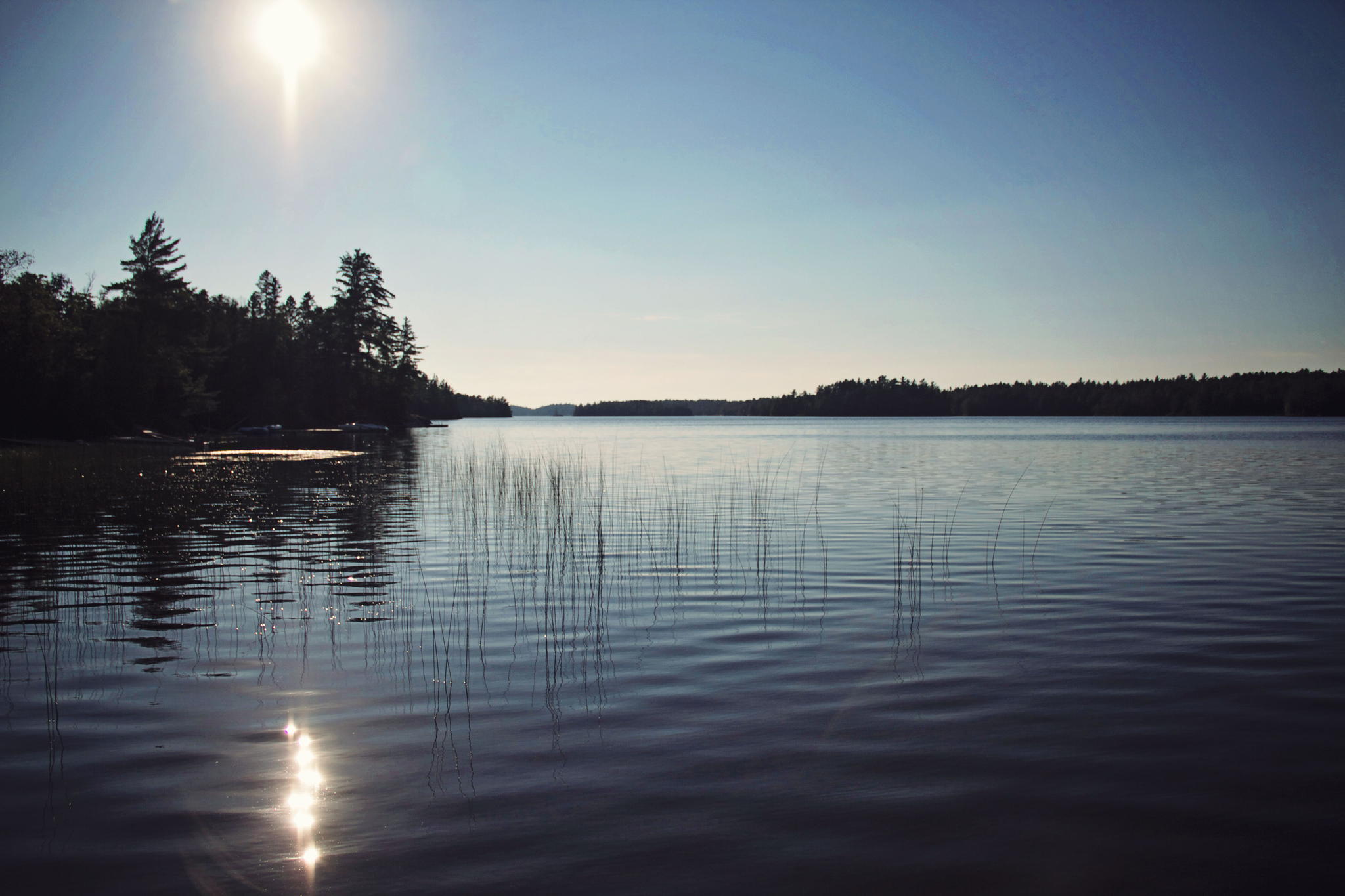 Blueskies by Shanon Oikawa