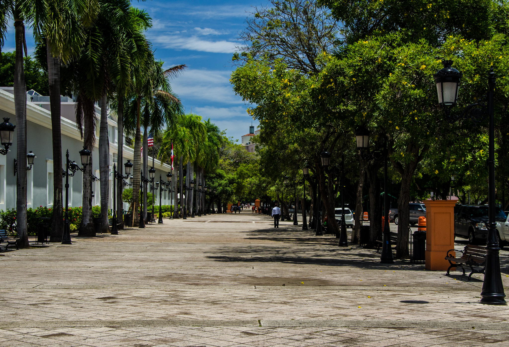 Hot Day by Siobhan Prasad